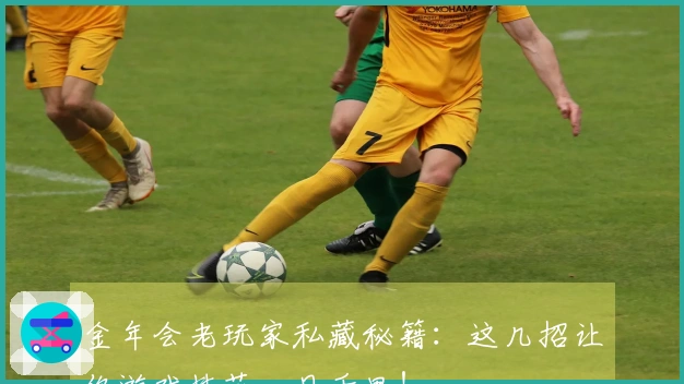 金年会老玩家私藏秘籍：这几招让你游戏技艺一日千里！