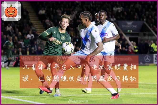 江南体育平台入口：老玩家倾囊相授，让你稳赚收益的隐藏技巧揭秘